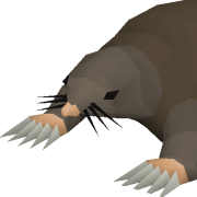 Giant Mole Melt